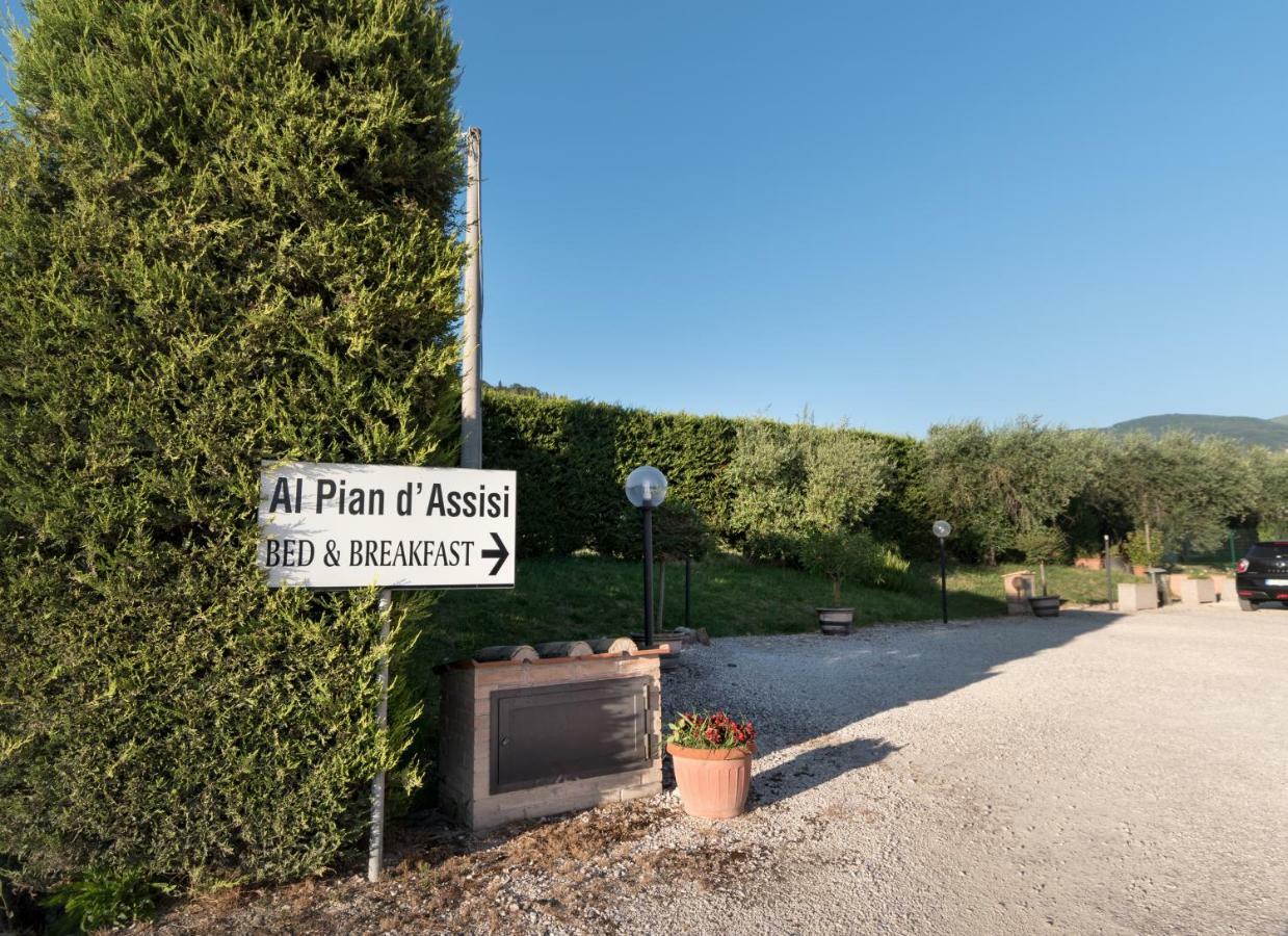 Bed & Breakfast Al Pian D'Assisi Kültér fotó