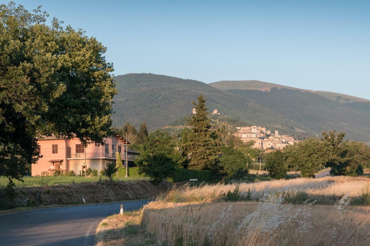 Bed & Breakfast Al Pian D'Assisi Kültér fotó