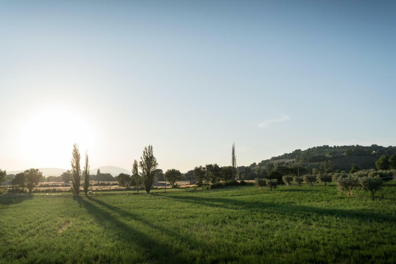 Bed & Breakfast Al Pian D'Assisi Kültér fotó