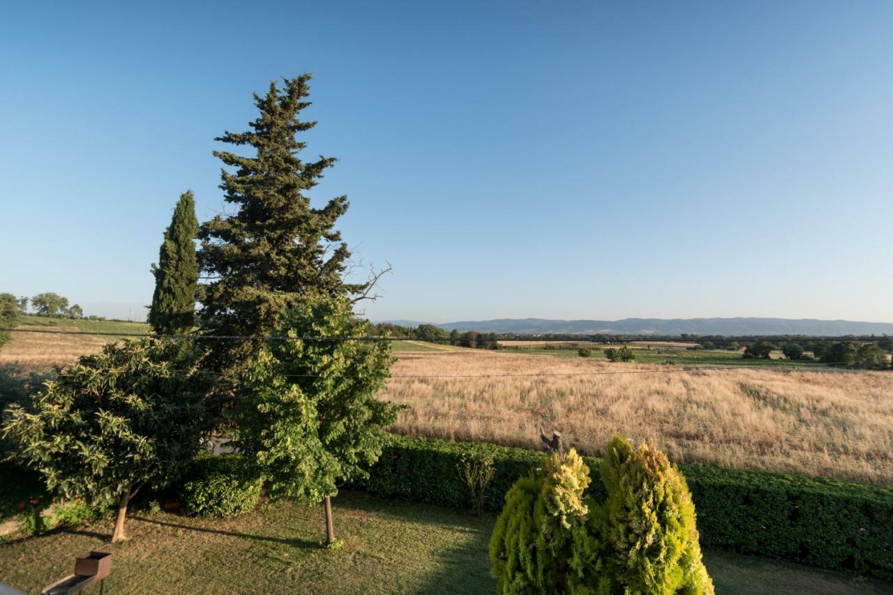 Bed & Breakfast Al Pian D'Assisi Kültér fotó