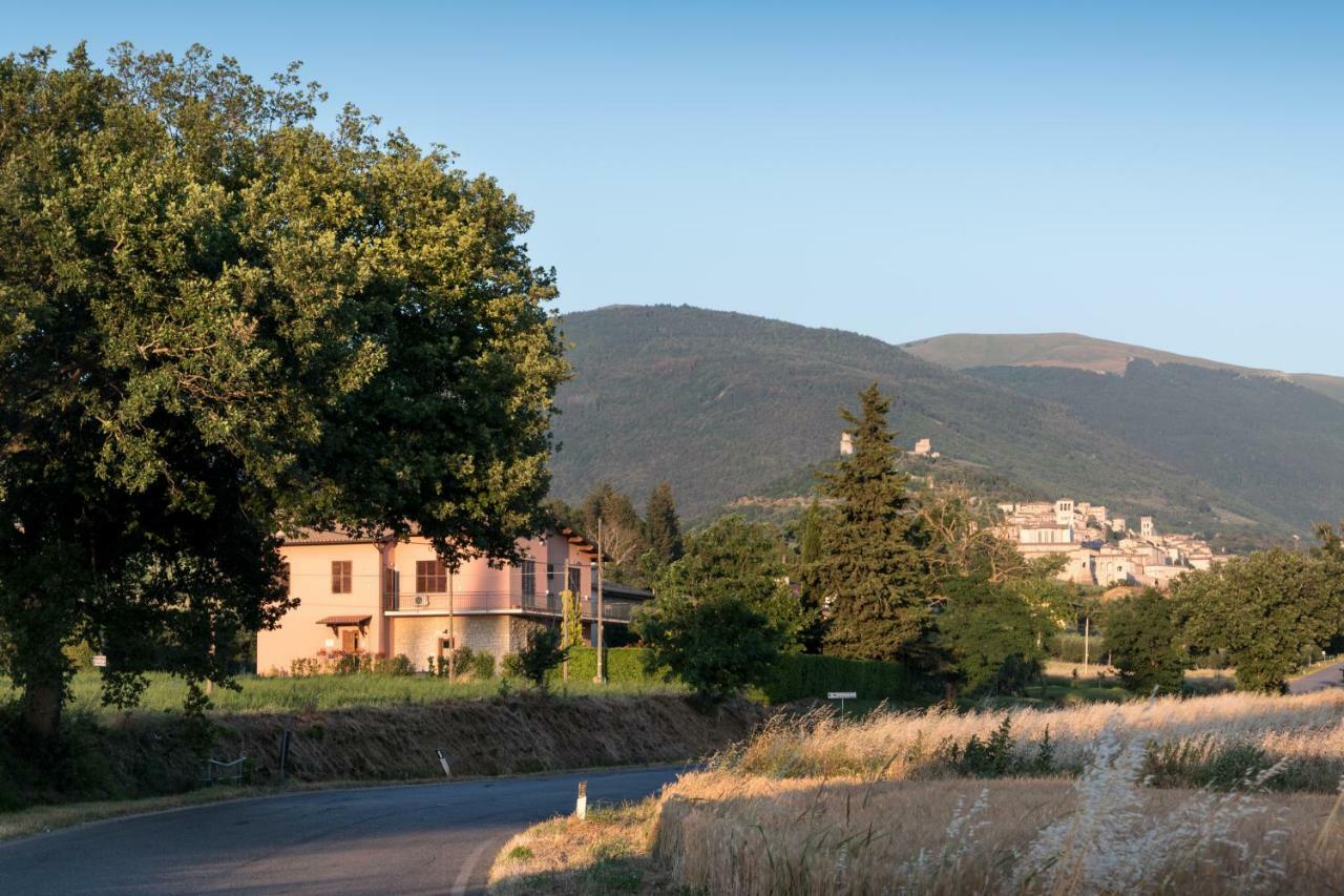 Bed & Breakfast Al Pian D'Assisi Kültér fotó