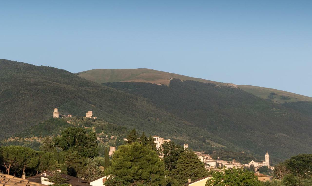 Bed & Breakfast Al Pian D'Assisi Kültér fotó
